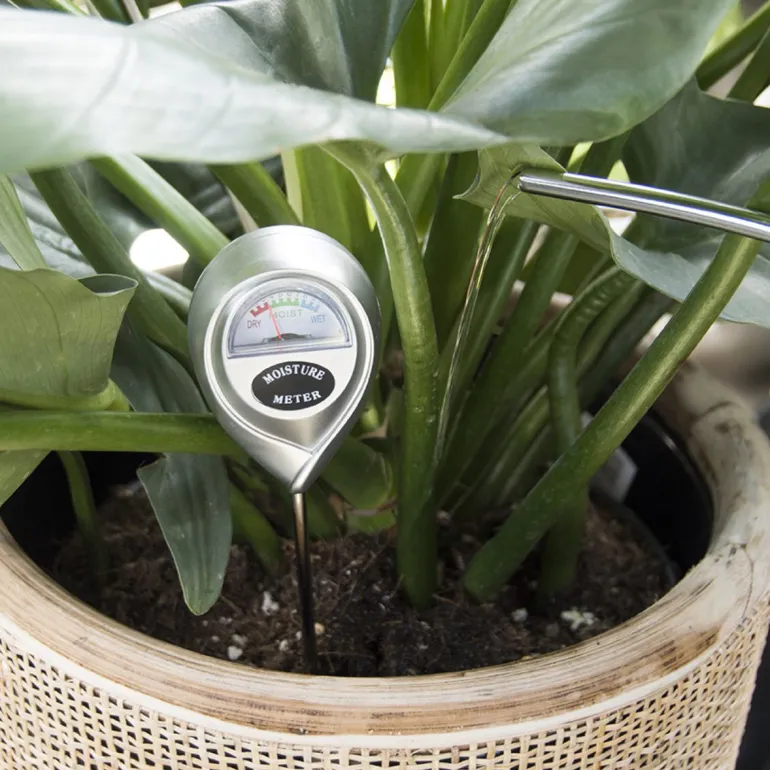 Hygromètre pour plantes d'intérieur Garden