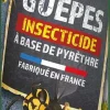 Insecticide guêpes et frelons aérosol longue portée 600 ml