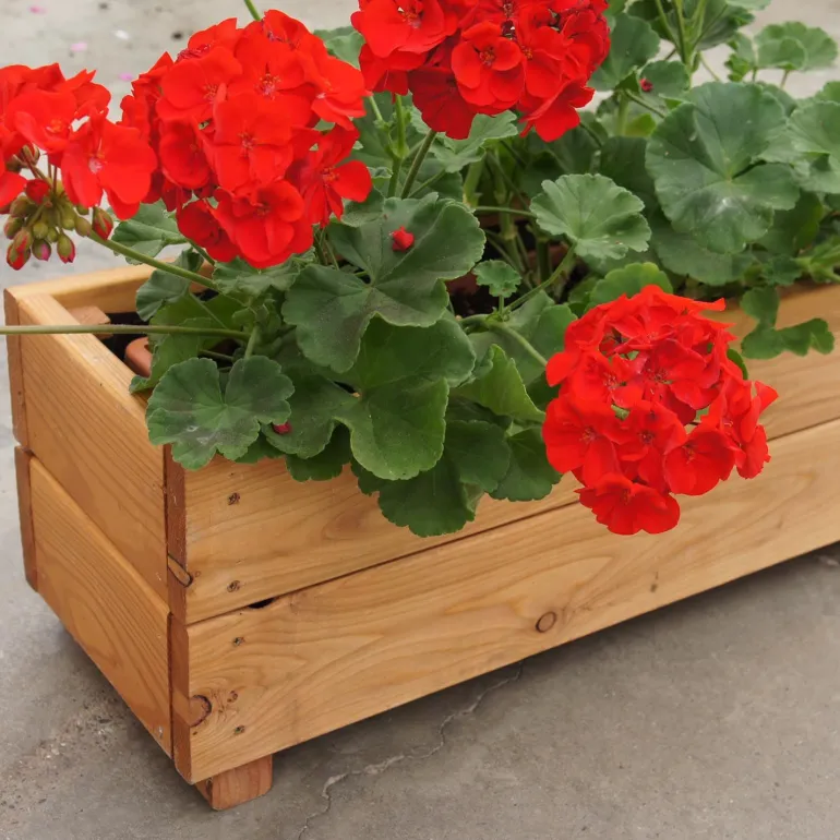 Jardinière en mélèze Moline 60 x 22 x 20 cm (Naturel)
