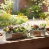 Jardinière en zinc avec pots en verre (34,5 cm)