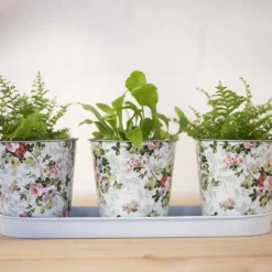 Jardinière 3 pots Roses