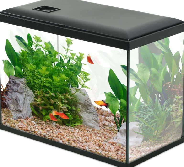 Kit aquarium 24 litres Initio 40 (Noir)