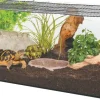 Kit terrarium tortue terrestre Karapas Pro
