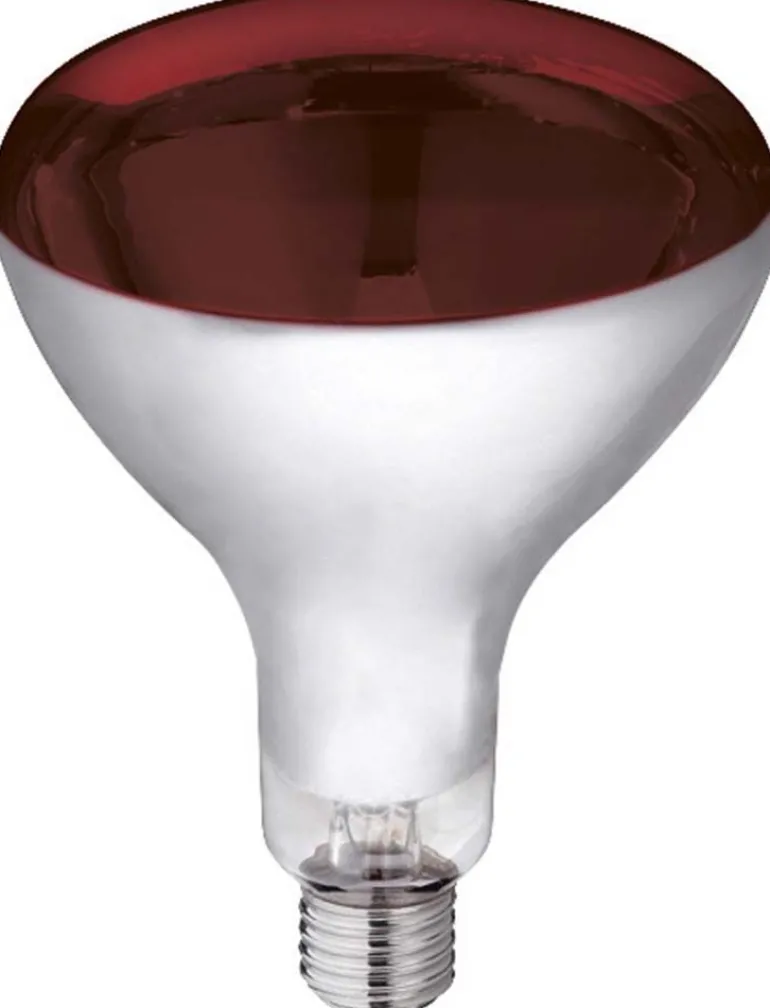 Lampe à infrarouge en verre trempé (150 W)