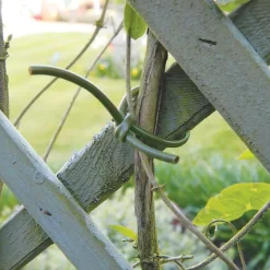 Lien d'attache en PVC pour plantes 60 m