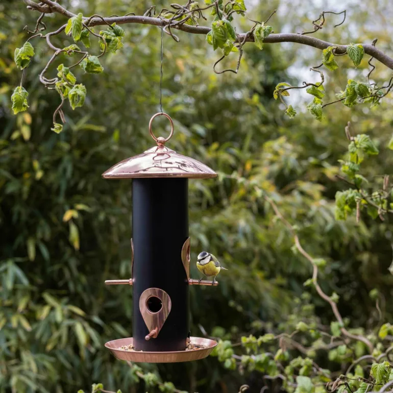 Mangeoire à oiseaux (Plaqué cuivre et noir - graines)