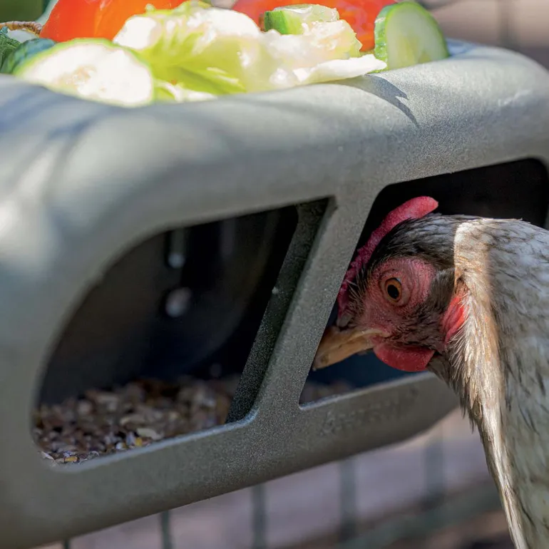 Mangeoire poules en plastique recyclé