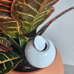 Mini ollas à planter en argile (Blanc)