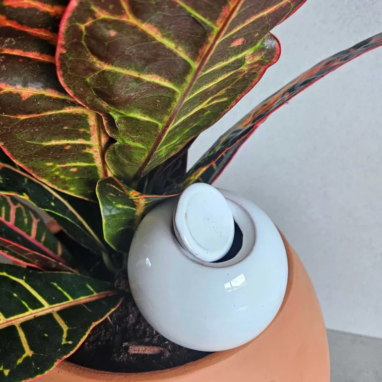 Mini ollas à planter en argile (Blanc)