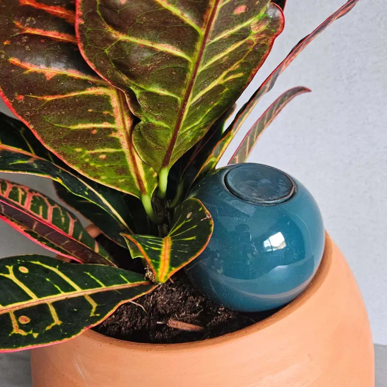 Mini ollas à planter en argile (Bleu canard)