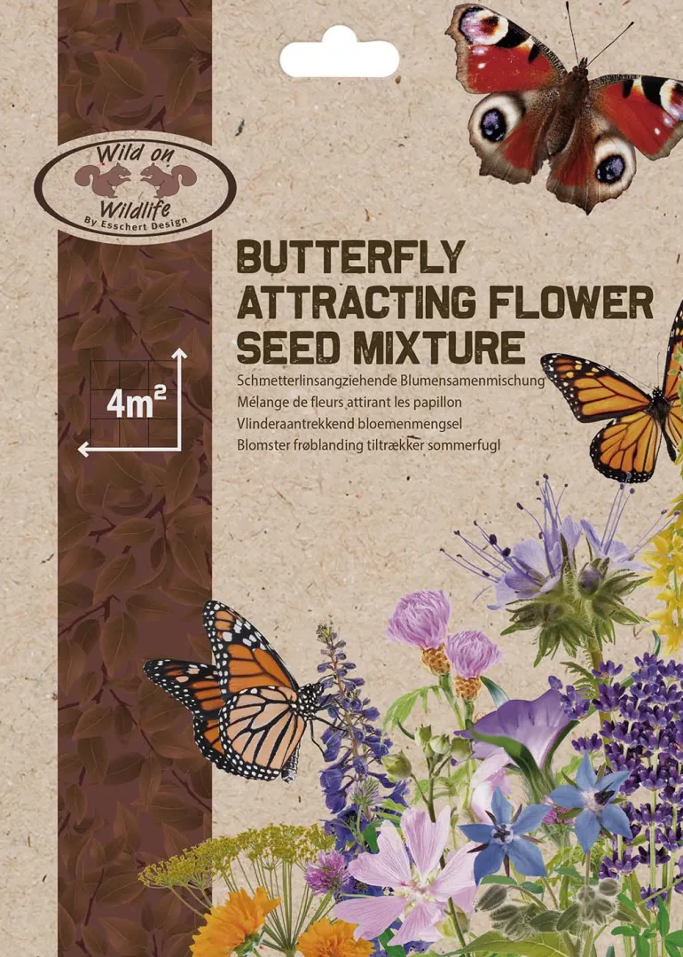 Mélange graines de fleurs attractives pour insectes (Papillons)
