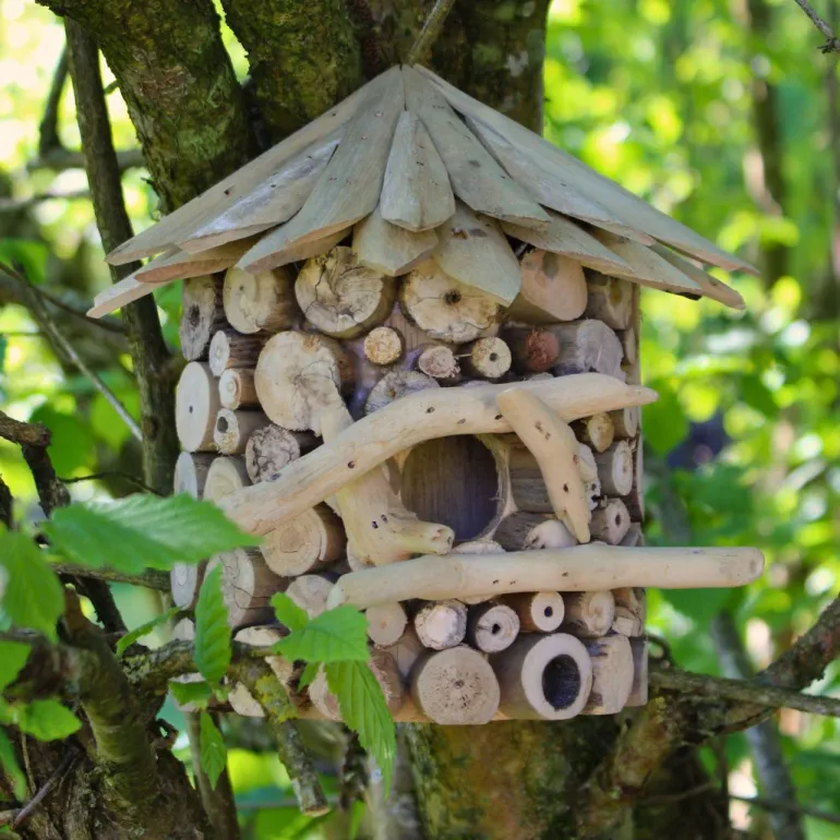 Nichoir demi-rond en bois d'albésia à accorcher