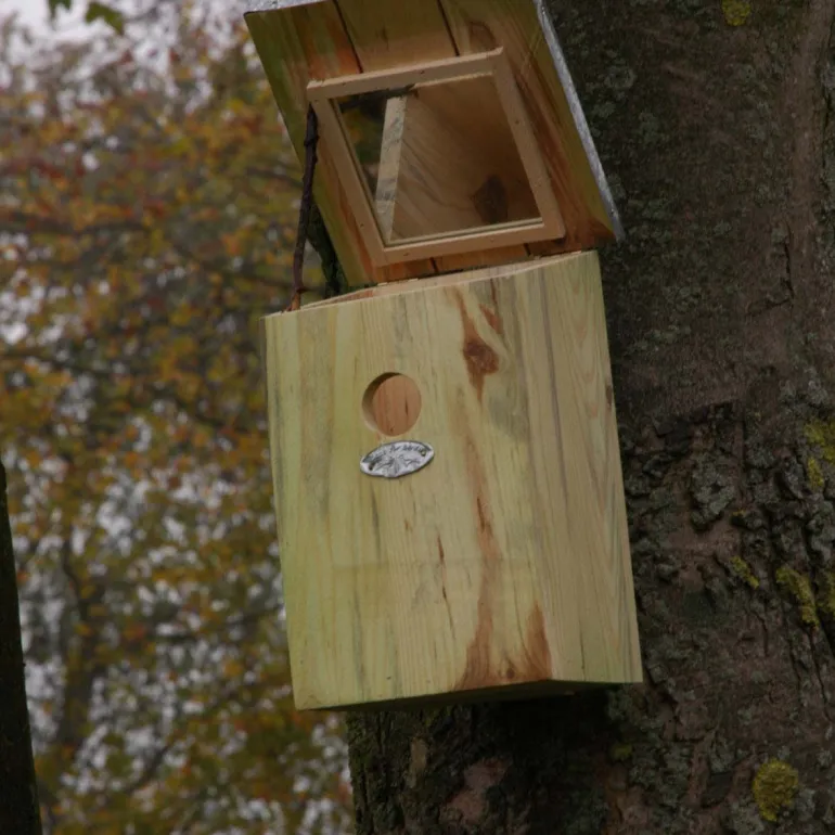 Nichoir mésange bois et zinc