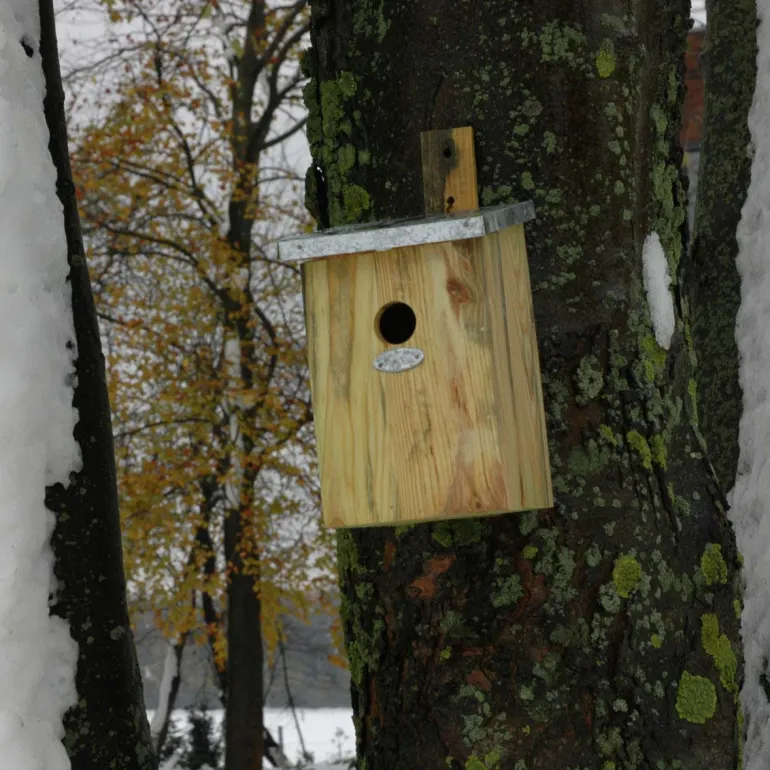 Nichoir mésange bois et zinc