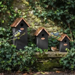 Nichoir à oiseaux en pin et cuivre (Mésange bleue)