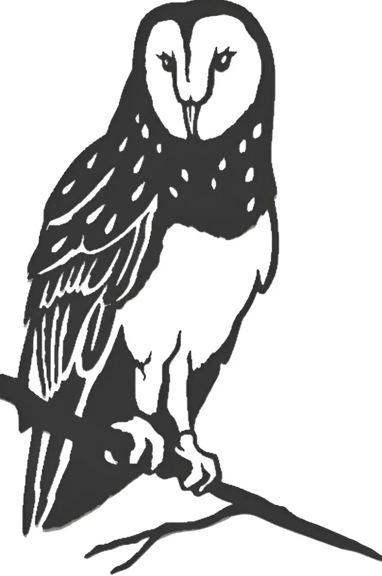 Oiseau sur pique chouette effraie en acier corten