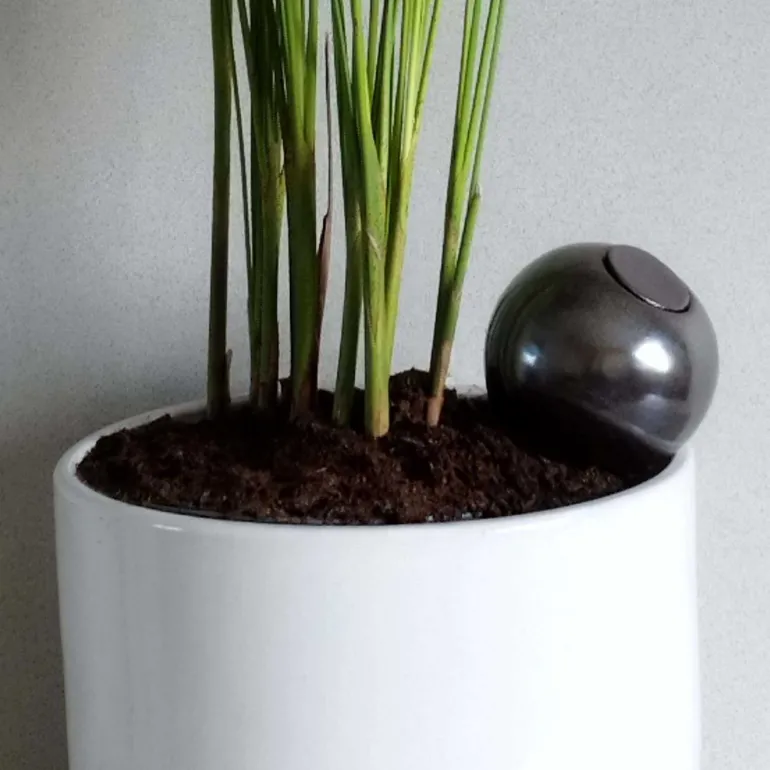 Ollas à planter en argile medium Métallique