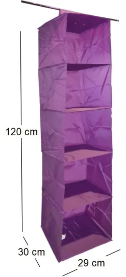 Organisateur de penderie en pvc 5 cases will b (Prune)