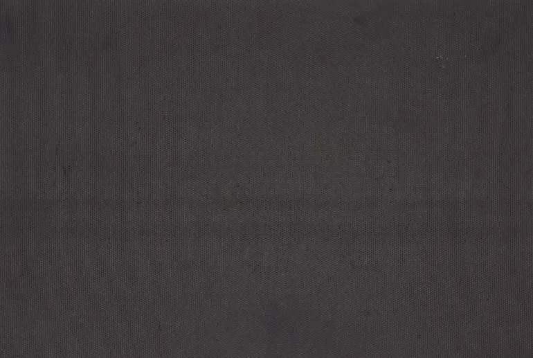 Paillasson en coco et PVC 60 x 40 cm (Arrosoir)