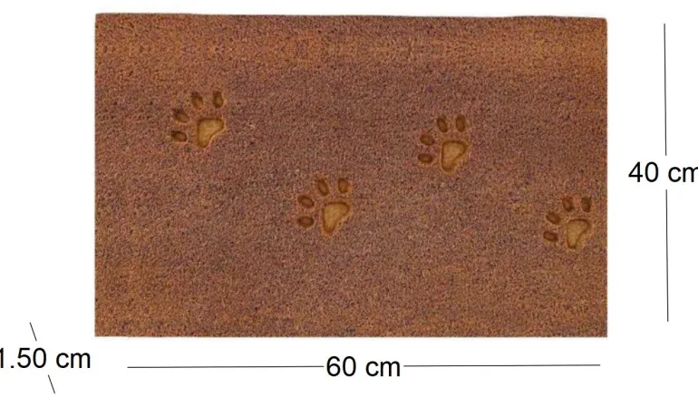 Paillasson en fibres de coco 60 x 40 cm Paw (Lot de 2)