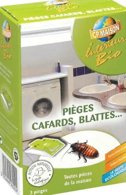 Pièges à cafards et blattes (Lot de 3)