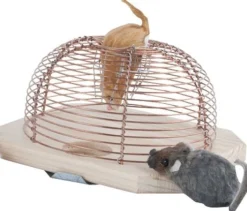 Piège à souris vivantes
