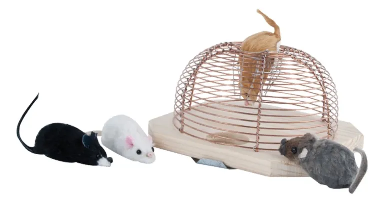 Piège à souris vivantes