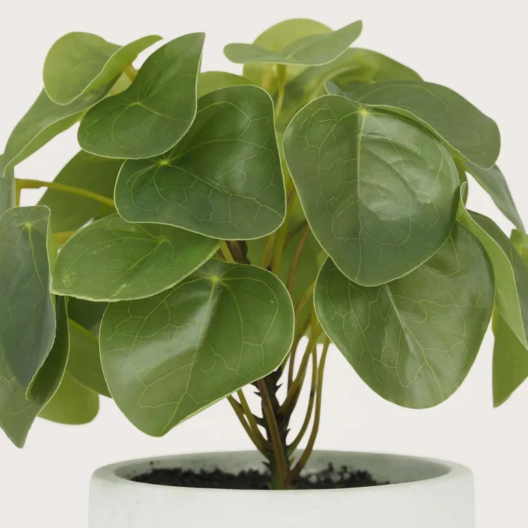Pilea artificielle pot effet ciment 23 cm