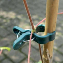 Pinces de fixation en plastique pour plantes (Petit modèle)