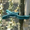 Pinces de fixation en plastique pour plantes (Grand modèle)