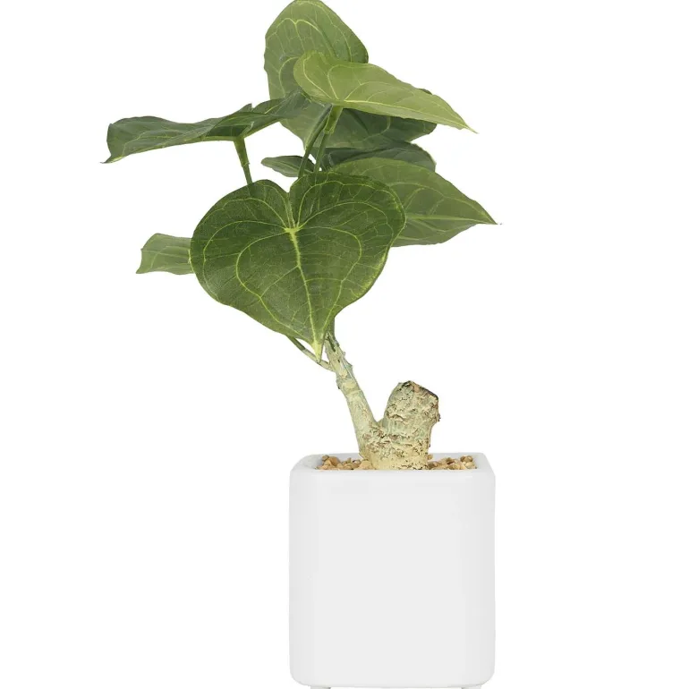 Plante artificielle pot carré blanc mat 26 cm