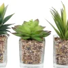 Plantes artificielles dans pot en verre 6.5 x 6.5 x 17 cm (Lot de 3)