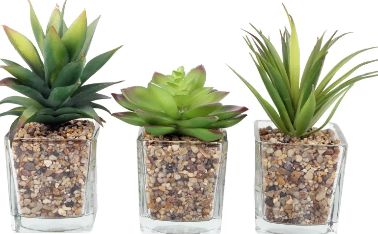 Plantes artificielles dans pot en verre 6.5 x 6.5 x 17 cm (Lot de 3)