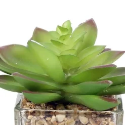 Plantes artificielles dans pot en verre 6.5 x 6.5 x 17 cm (Lot de 3)