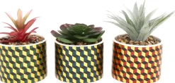 Plantes succulentes artificielles Cubic (Lot de 3)