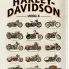 Plaque décorative en métal en relief 40 x 30 cm (Harley Davidson - Model Chart)