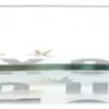 Plat en verre déco Exotique 19 cm