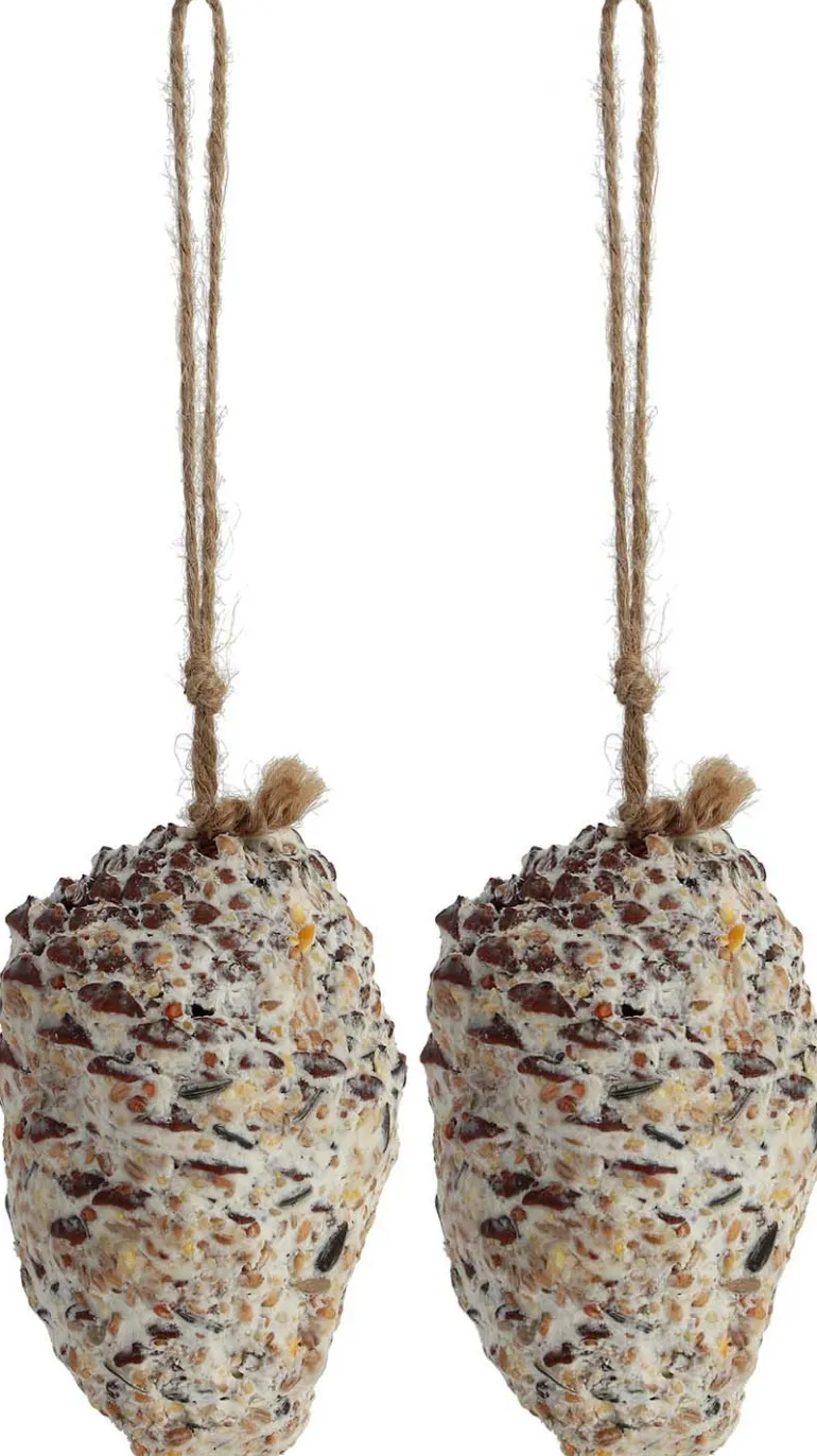 Pomme de pin fourrée de graines et graisse pour oiseaux (Lot de 2)