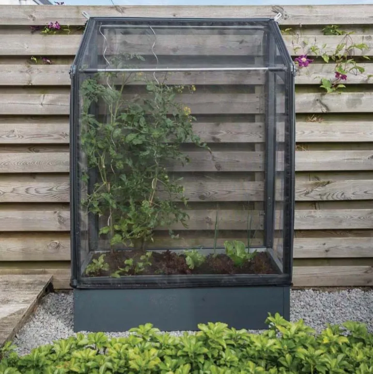 Potager mural premium à adosser avec couverture de protection
