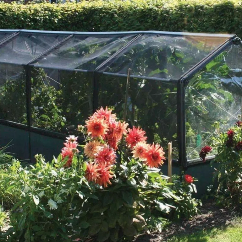 Potager premium avec serre et protection Veg