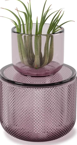 Pot en verre avec couvercle bougeoir intégré Allira (Violet)