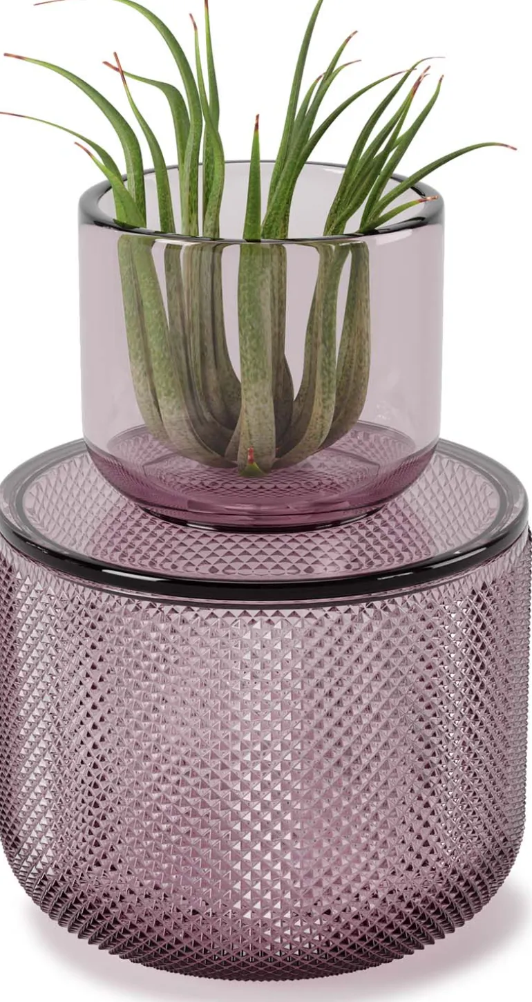 Pot en verre avec couvercle bougeoir intégré Allira (Violet)