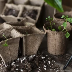 Pots de plantation bio sans tourbe (12 pots - 8 cm - ronds)