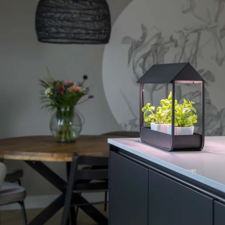 Serre avec lampe de croissance design (Noir)