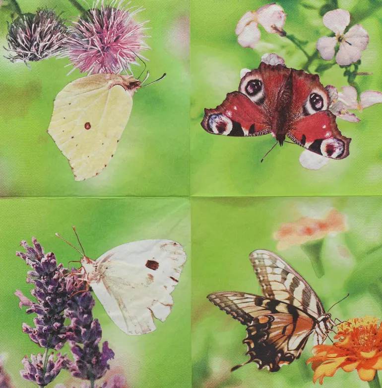 Serviette en papier de soie avec motifs (Lot de 20) (Papillon)