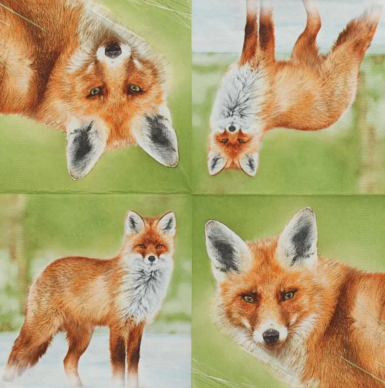 Serviette en papier de soie avec motifs (Lot de 20) (Renard)