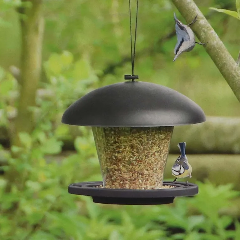 Set abri mangeoire et graines oiseaux (Pour oiseaux du jardin)