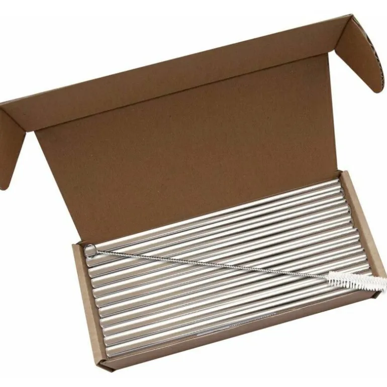 Set 50 pailles droites en inox avec goupillon (21 cm)