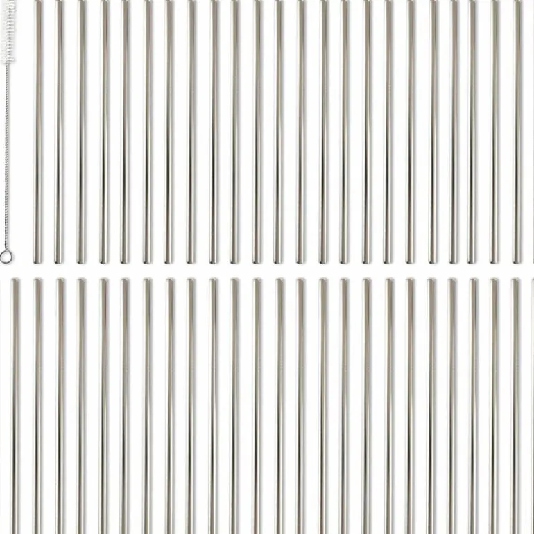Set 50 pailles droites en inox avec goupillon (21 cm)
