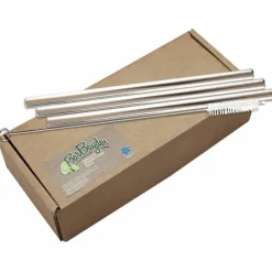 Set 50 pailles droites en inox avec goupillon (21 cm)